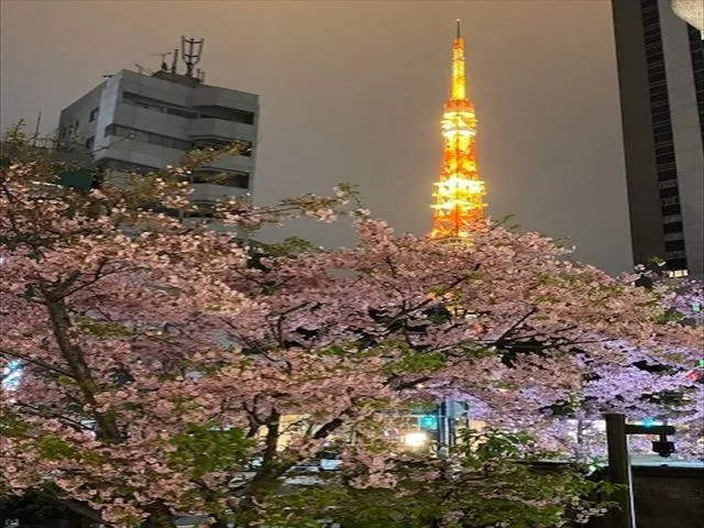 もうすぐ🌸春🌸